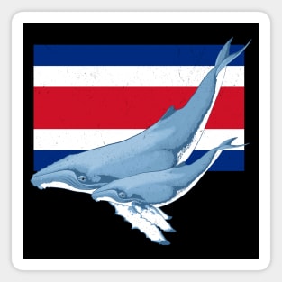 Costa Rican Flag with Humpback Whales Magnet